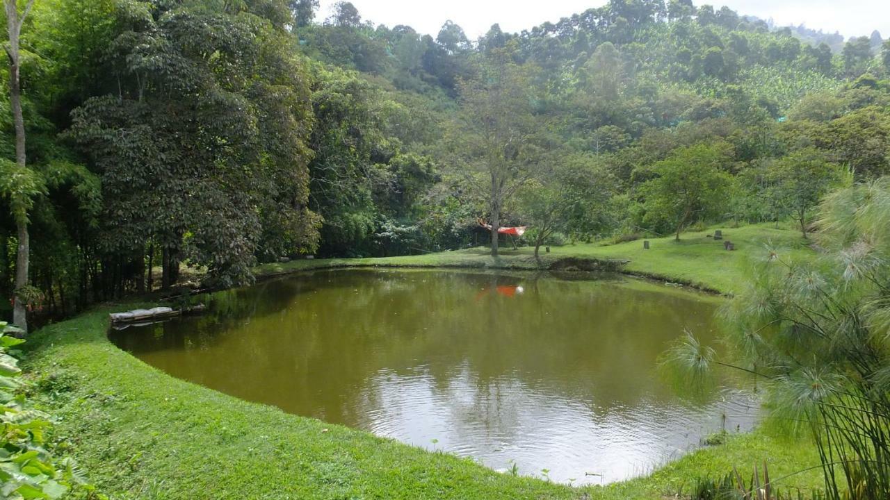 Sonarte Reserva Natural Cordoba  المظهر الخارجي الصورة