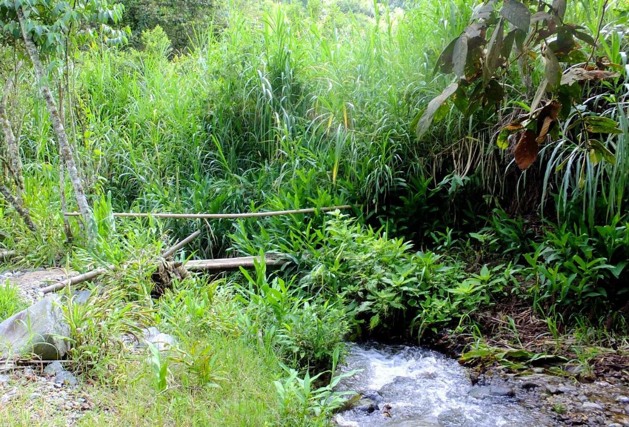 Sonarte Reserva Natural Cordoba  المظهر الخارجي الصورة
