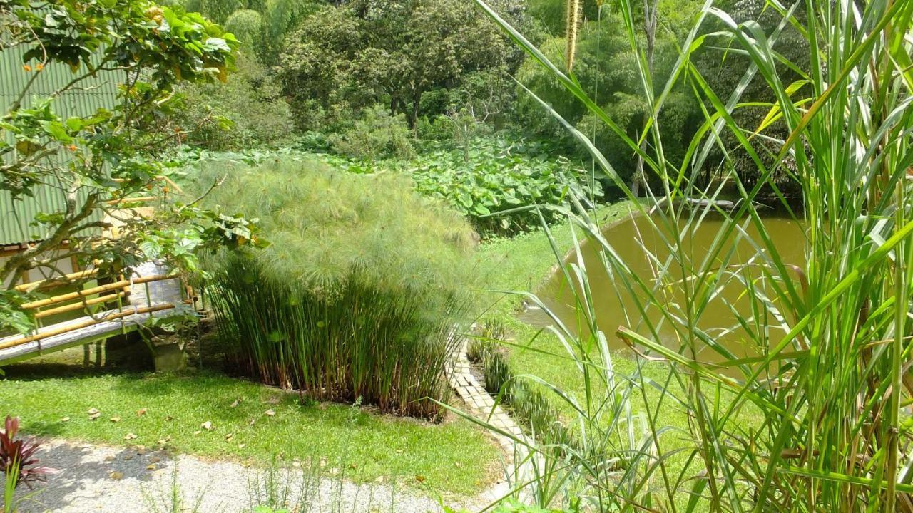 Sonarte Reserva Natural Cordoba  المظهر الخارجي الصورة